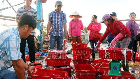 Biển đã sạch sau sự cố Formosa, ngư dân vẫn còn lo - Ảnh 3. Biển đã sạch sau sự cố Formosa, ngư dân vẫn còn lo - Ảnh 3.
