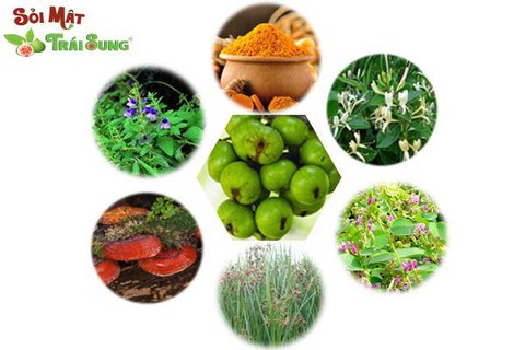 Điều trị sỏi thận, sỏi mật, sỏi gan theo xu hướng mới - Ảnh 2. Điều trị sỏi thận, sỏi mật, sỏi gan theo xu hướng mới - Ảnh 2.
