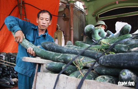 Bí xanh 2.000 đồng/kg vẫn ‘bí’ đầu ra - Ảnh 3. Bí xanh 2.000 đồng/kg vẫn ‘bí’ đầu ra - Ảnh 3.