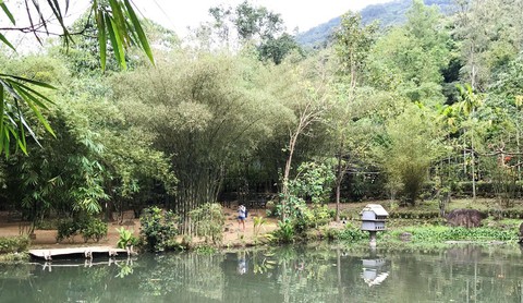 Hòn ngọc Sơn Trà từng có vườn thực nghiệm - Ảnh 2. Hòn ngọc Sơn Trà từng có vườn thực nghiệm - Ảnh 2.