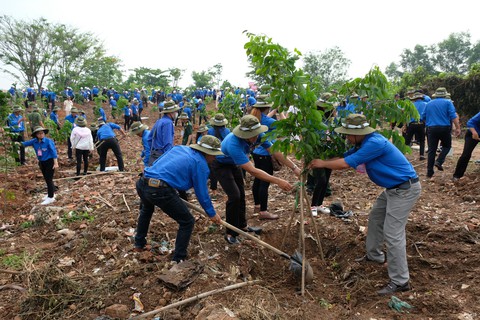 Trao huy hiệu Thanh niên tiên tiến làm theo lời Bác cho 336 bạn trẻ - Ảnh 2. Trao huy hiệu Thanh niên tiên tiến làm theo lời Bác cho 336 bạn trẻ - Ảnh 2.
