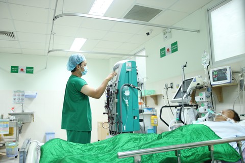 Suýt chết vì bị ong mật đốt 250 mũi - Ảnh 1. Suýt chết vì bị ong mật đốt 250 mũi - Ảnh 1.