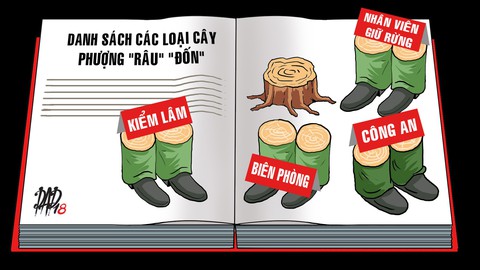 Điều gì đang xảy ra ở Đắk Nông? - Ảnh 1. Điều gì đang xảy ra ở Đắk Nông? - Ảnh 1.