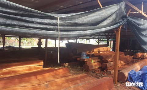Phượng ‘râu’ gom gỗ quý chuẩn bị làm biệt thự khủng - Ảnh 2. Phượng ‘râu’ gom gỗ quý chuẩn bị làm biệt thự khủng - Ảnh 2.