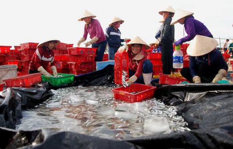 Nụ cười hồi sinh từ vùng biển chết - Ảnh 10. Nụ cười hồi sinh từ vùng biển chết - Ảnh 10.