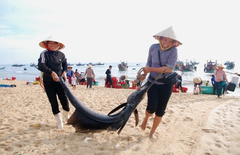Nụ cười hồi sinh từ vùng biển chết - Ảnh 1. Nụ cười hồi sinh từ vùng biển chết - Ảnh 1.