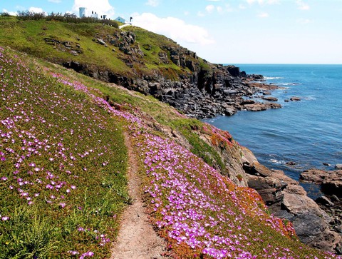 Đến ‘xứ sở thần tiên’ Cornwall, nghe ‘thiên tình cổ’ Tristan và Isolde - Ảnh 5. Đến ‘xứ sở thần tiên’ Cornwall, nghe ‘thiên tình cổ’ Tristan và Isolde - Ảnh 5.