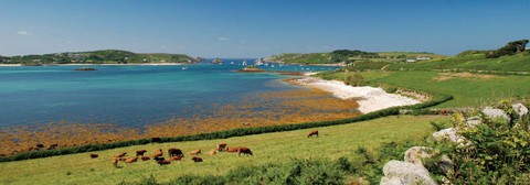 Đến ‘xứ sở thần tiên’ Cornwall, nghe ‘thiên tình cổ’ Tristan và Isolde - Ảnh 3. Đến ‘xứ sở thần tiên’ Cornwall, nghe ‘thiên tình cổ’ Tristan và Isolde - Ảnh 3.