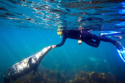 Đến ‘xứ sở thần tiên’ Cornwall, nghe ‘thiên tình cổ’ Tristan và Isolde - Ảnh 13. Đến ‘xứ sở thần tiên’ Cornwall, nghe ‘thiên tình cổ’ Tristan và Isolde - Ảnh 13.