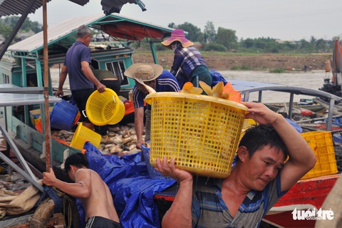 Hàng trăm tấn cá chết trắng bè, dân La Ngà khóc ròng - Ảnh 7. Hàng trăm tấn cá chết trắng bè, dân La Ngà khóc ròng - Ảnh 7.