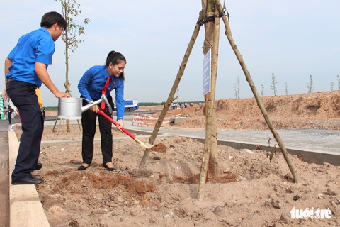Bình Dương: Gần 200.000 cây phủ xanh khu công nghiệp, đô thị - Ảnh 1. Bình Dương: Gần 200.000 cây phủ xanh khu công nghiệp, đô thị - Ảnh 1.
