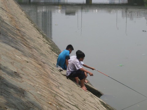 Học sinh ra bờ kè câu cá, nguy hiểm quá! - Ảnh 1. Học sinh ra bờ kè câu cá, nguy hiểm quá! - Ảnh 1.
