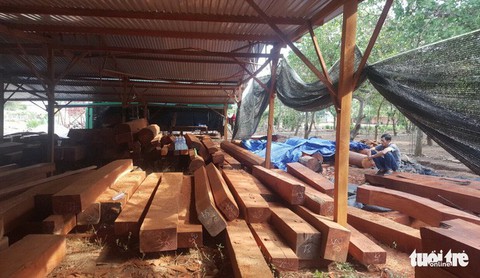 Báo động đỏ về mất rừng, tuyệt chủng động vật quý hiếm - Ảnh 1. Báo động đỏ về mất rừng, tuyệt chủng động vật quý hiếm - Ảnh 1.