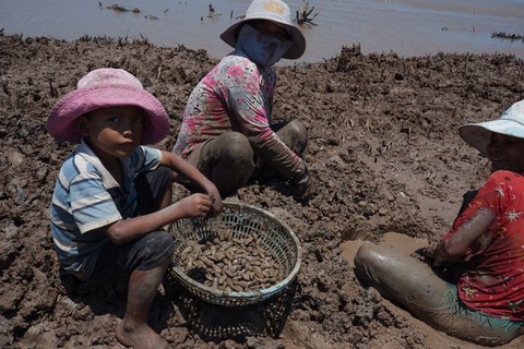 Về Bạc Liêu ngắm cánh đồng quạt gió trên biển - Ảnh 7. Về Bạc Liêu ngắm cánh đồng quạt gió trên biển - Ảnh 7.