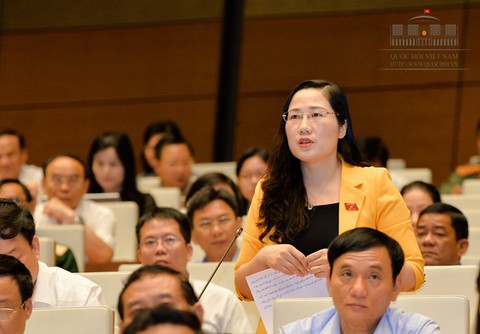Quốc hội sẵn sàng bấm nút khai sinh 3 đặc khu kinh tế - Ảnh 3. Quốc hội sẵn sàng bấm nút khai sinh 3 đặc khu kinh tế - Ảnh 3.