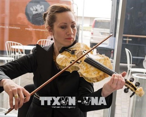 Phát hiện mới về nghệ thuật chế tác vĩ cầm - Ảnh 1. Phát hiện mới về nghệ thuật chế tác vĩ cầm - Ảnh 1.
