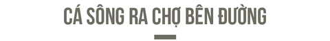 Đi theo những đàn cá sông - Ảnh 5. Đi theo những đàn cá sông - Ảnh 5.