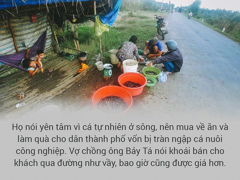 Đi theo những đàn cá sông - Ảnh 6. Đi theo những đàn cá sông - Ảnh 6.