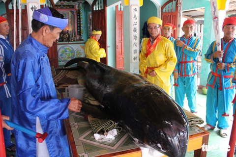 Cá voi dạt vào bờ, ngư dân Quảng Ngãi áo dài khăn đóng mai táng - Ảnh 1. Cá voi dạt vào bờ, ngư dân Quảng Ngãi áo dài khăn đóng mai táng - Ảnh 1.