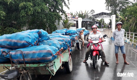 Khoai môn còn 7.000 đồng/kg do Trung Quốc giảm mua - Ảnh 1. Khoai môn còn 7.000 đồng/kg do Trung Quốc giảm mua - Ảnh 1.