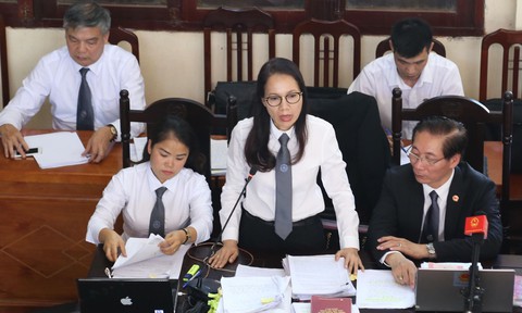 Luật sư của bác sĩ Lương: Bộ Y tế phải chịu trách nhiệm - Ảnh 2. Luật sư của bác sĩ Lương: Bộ Y tế phải chịu trách nhiệm - Ảnh 2.