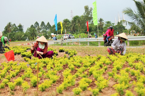 Dân Miền Tây rủ nhau lên cầu Cao Lãnh… chụp ảnh lưu niệm - Ảnh 9. Dân Miền Tây rủ nhau lên cầu Cao Lãnh… chụp ảnh lưu niệm - Ảnh 9.
