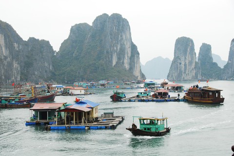 Du khách từ Cát Bà thò mặt sang Hạ Long là bị đuổi? - Ảnh 2. Du khách từ Cát Bà thò mặt sang Hạ Long là bị đuổi? - Ảnh 2.