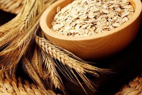 Lợi ích của việc ăn yến mạch mỗi ngày - Ảnh 1. Lợi ích của việc ăn yến mạch mỗi ngày - Ảnh 1.