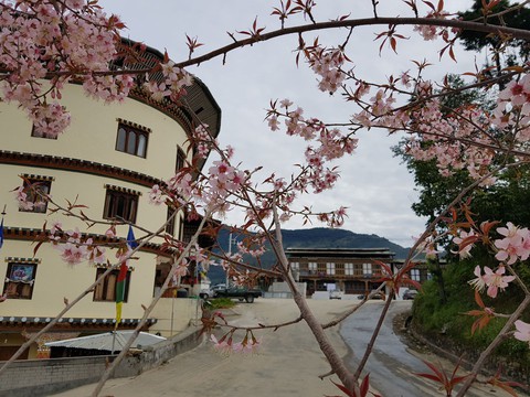 Có phải ai cũng tìm thấy hạnh phúc ở Bhutan? - Ảnh 9. Có phải ai cũng tìm thấy hạnh phúc ở Bhutan? - Ảnh 9.