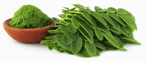 Cốm Moringa Kid - Sản phẩm đột phá giúp trẻ tăng cân tự nhiên - Ảnh 2. Cốm Moringa Kid - Sản phẩm đột phá giúp trẻ tăng cân tự nhiên - Ảnh 2.