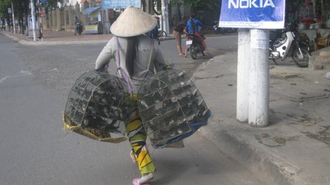 Phóng sanh ngày càng trần tục hóa, liệu có còn ý nghĩa? - Ảnh 1. Phóng sanh ngày càng trần tục hóa, liệu có còn ý nghĩa? - Ảnh 1.