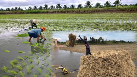 Doanh nghiệp xin làm... xã viên hợp tác xã - Ảnh 1. Doanh nghiệp xin làm... xã viên hợp tác xã - Ảnh 1.