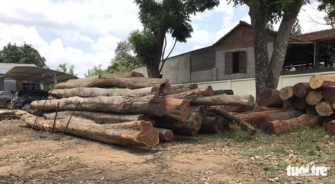 Khởi tố vụ án, khởi tố bị can 5 người trong vụ Phượng râu - Ảnh 2. Khởi tố vụ án, khởi tố bị can 5 người trong vụ Phượng râu - Ảnh 2.