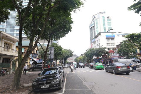 Hà Nội di dời hàng loạt cây sưa đỏ quý hiếm thi công đường sắt - Ảnh 1. Hà Nội di dời hàng loạt cây sưa đỏ quý hiếm thi công đường sắt - Ảnh 1.