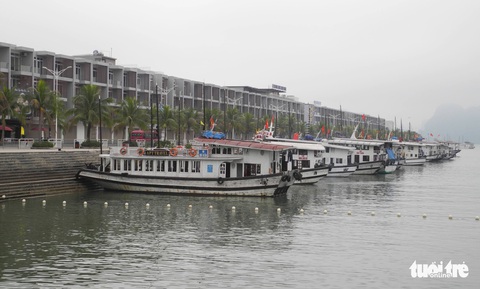 Quảng Ninh không chấp nhận tàu kém chất lượng vào Vịnh Hạ Long - Ảnh 2. Quảng Ninh không chấp nhận tàu kém chất lượng vào Vịnh Hạ Long - Ảnh 2.