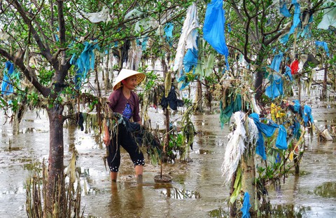Kinh hoàng biển… rác ở Hậu Lộc, Thanh Hóa - Ảnh 6. Kinh hoàng biển… rác ở Hậu Lộc, Thanh Hóa - Ảnh 6.