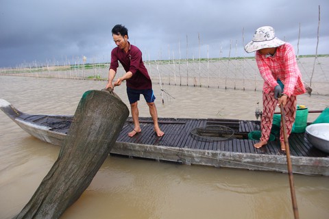Nhìn thiên nhiên - đoán thời tiết - Ảnh 1. Nhìn thiên nhiên - đoán thời tiết - Ảnh 1.