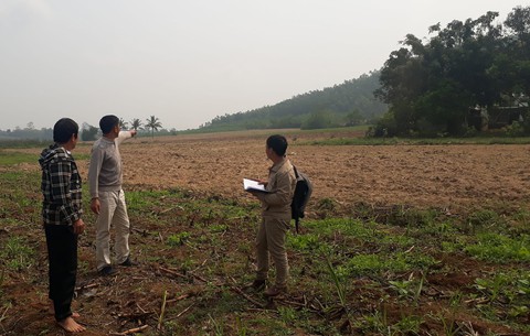 1.350ha đất bỏ hoang vì dự án bò sữa 3.800 tỉ đồng dang dở - Ảnh 1. 1.350ha đất bỏ hoang vì dự án bò sữa 3.800 tỉ đồng dang dở - Ảnh 1.