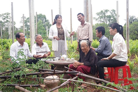 Trên đất tổ của bài chòi - Ảnh 4. Trên đất tổ của bài chòi - Ảnh 4.