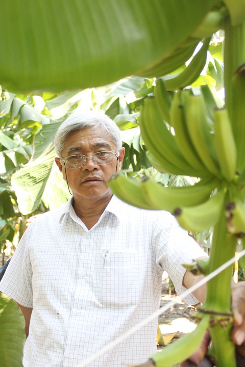 Làm nông dễ dãi? Quên đi! - Ảnh 1. Làm nông dễ dãi? Quên đi! - Ảnh 1.