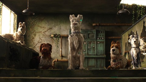 Isle of Dogs: Phim hoạt hình độc lạ vào Lễ thiếu nhi 1-6 - Ảnh 4. Isle of Dogs: Phim hoạt hình độc lạ vào Lễ thiếu nhi 1-6 - Ảnh 4.