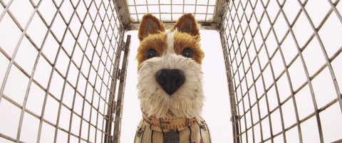 Isle of Dogs: Phim hoạt hình độc lạ vào Lễ thiếu nhi 1-6 - Ảnh 7. Isle of Dogs: Phim hoạt hình độc lạ vào Lễ thiếu nhi 1-6 - Ảnh 7.