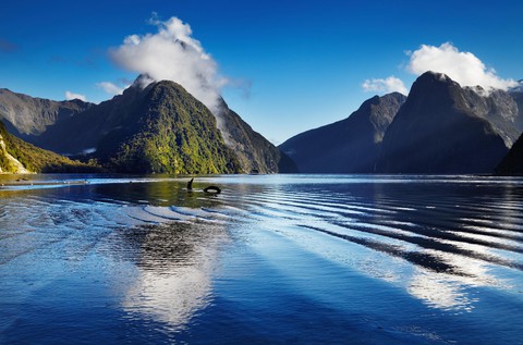 Đi chơi 2018: ghé Nam Cực, New Zealand, Trung Quốc, Mexico, Bồ Đào Nha - Ảnh 6. Đi chơi 2018: ghé Nam Cực, New Zealand, Trung Quốc, Mexico, Bồ Đào Nha - Ảnh 6.