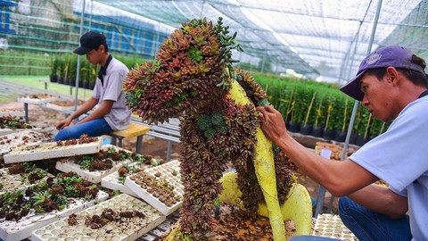 Đường hoa Nguyễn Huệ xuân Mậu Tuất sẽ có gì lạ? - Ảnh 1. Đường hoa Nguyễn Huệ xuân Mậu Tuất sẽ có gì lạ? - Ảnh 1.