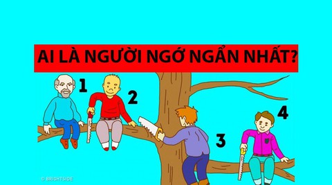 Trắc nghiệm vui: Ai là người ngớ ngẩn nhất? - Ảnh 1. Trắc nghiệm vui: Ai là người ngớ ngẩn nhất? - Ảnh 1.