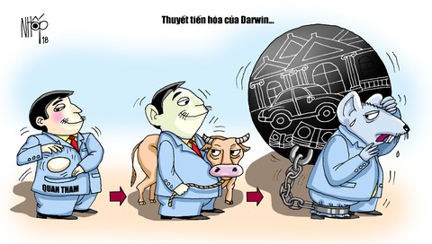 Nay trộm trứng, mai sẽ dắt bò! - Ảnh 1. Nay trộm trứng, mai sẽ dắt bò! - Ảnh 1.