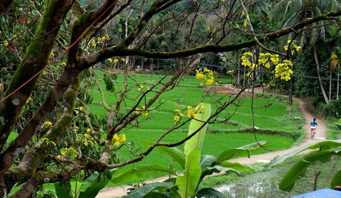 Thăm vùng đất thập ngũ tiên sa Tiên Phước - Ảnh 1. Thăm vùng đất thập ngũ tiên sa Tiên Phước - Ảnh 1.