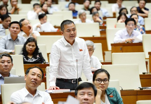 Đại biểu Quốc hội đề nghị có danh hiệu Dũng sĩ diệt tham nhũng - Ảnh 2. Đại biểu Quốc hội đề nghị có danh hiệu Dũng sĩ diệt tham nhũng - Ảnh 2.