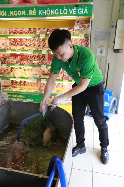 Bách hóa Xanh mở thêm ‘chợ thịt cá’, tuyển dụng số lượng lớn - Ảnh 3. Bách hóa Xanh mở thêm ‘chợ thịt cá’, tuyển dụng số lượng lớn - Ảnh 3.