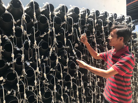 Làm giàu từ lươn biển sống - Ảnh 4. Làm giàu từ lươn biển sống - Ảnh 4.